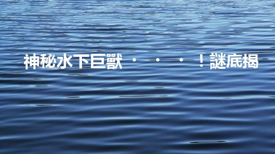 神秘水下巨獸！謎底揭曉，自動(dòng)抽沙機(jī)器人能否拯救海洋？
